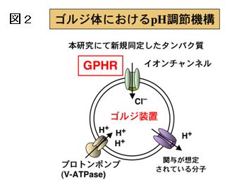 2008-0922_Figure2.jpg