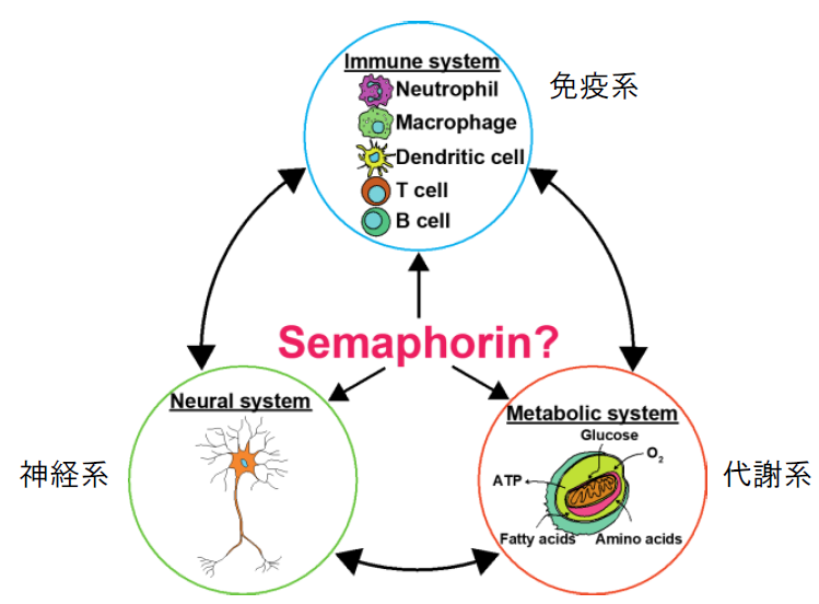 Figure1