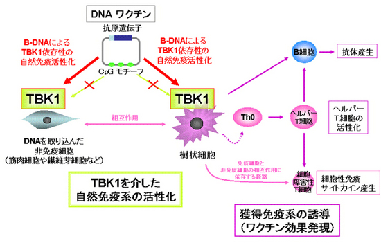 fig_03.jpg