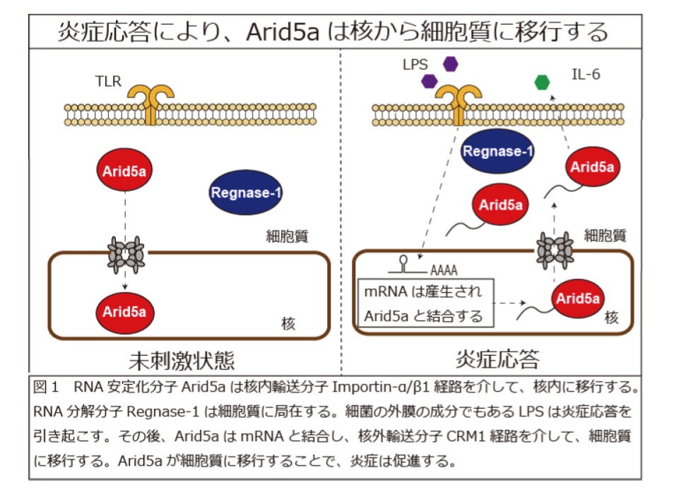 figure1_180123