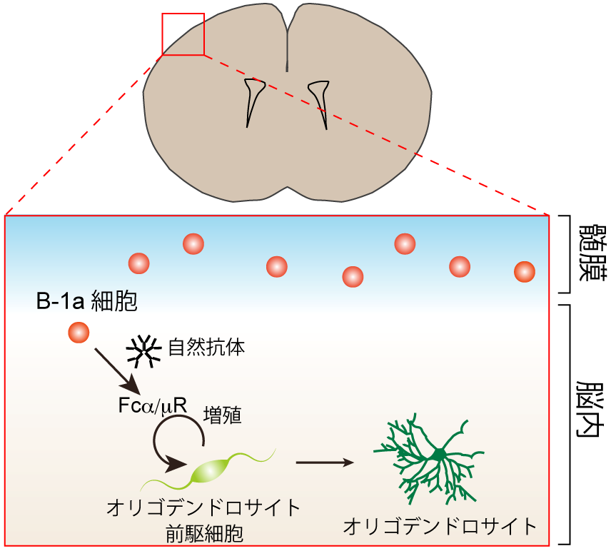 Figure1