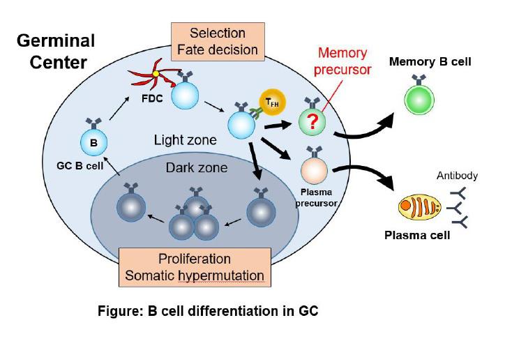 figure1