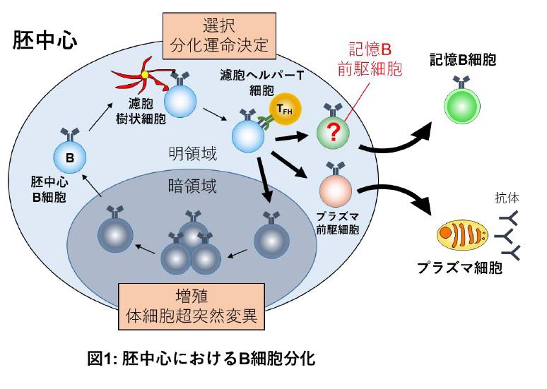 figure1