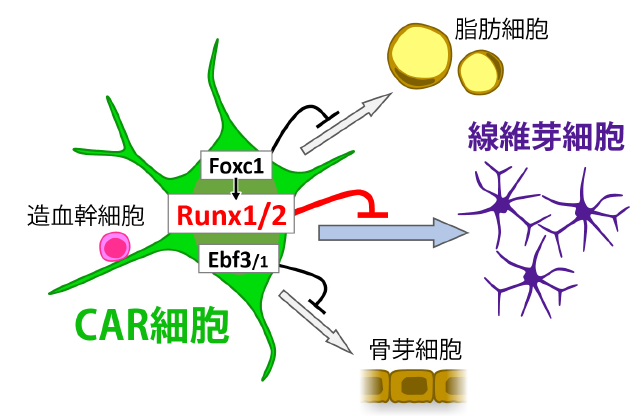 figure20220526