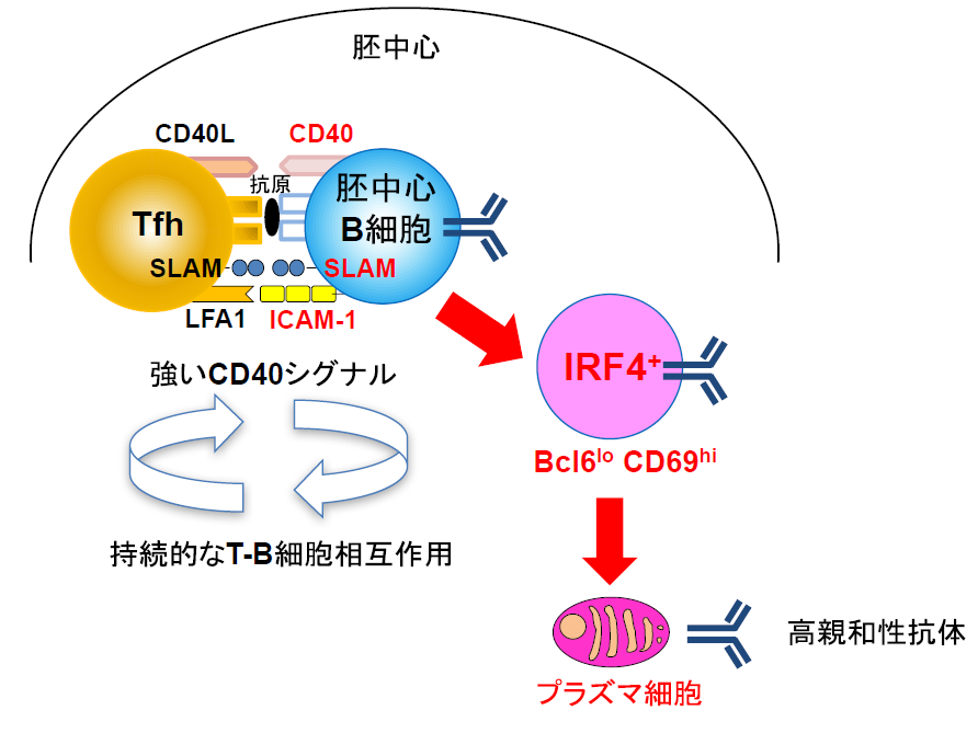 Figure1