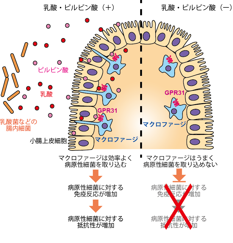 figure1