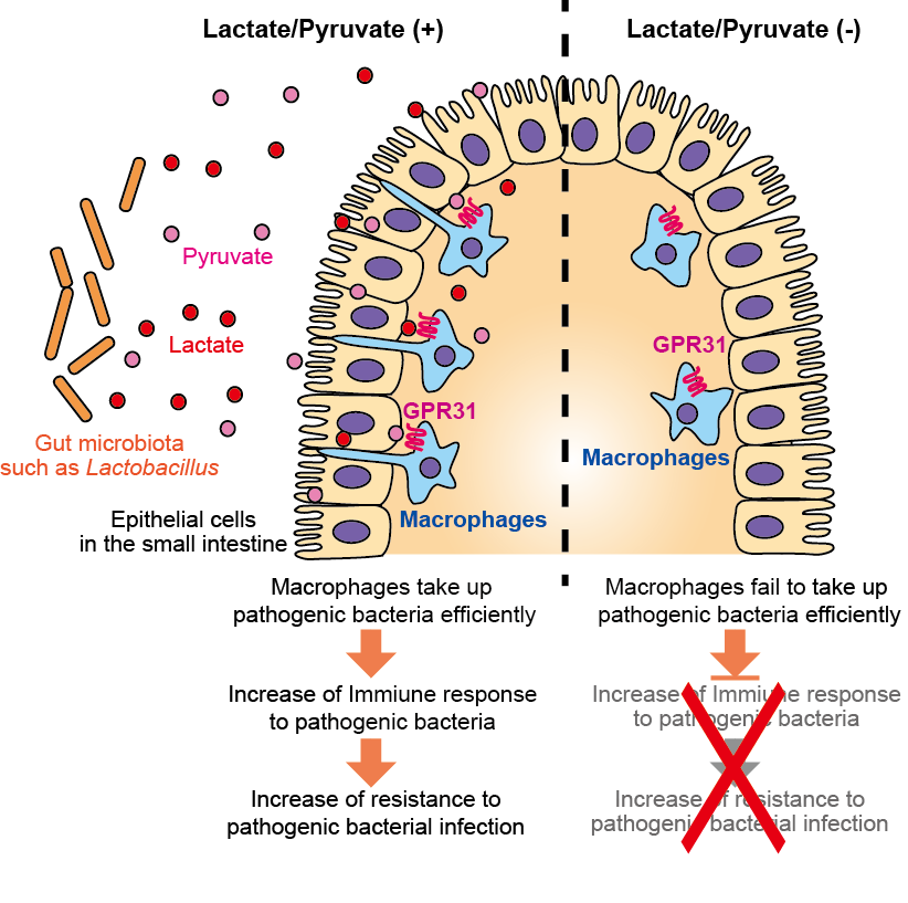 figure1