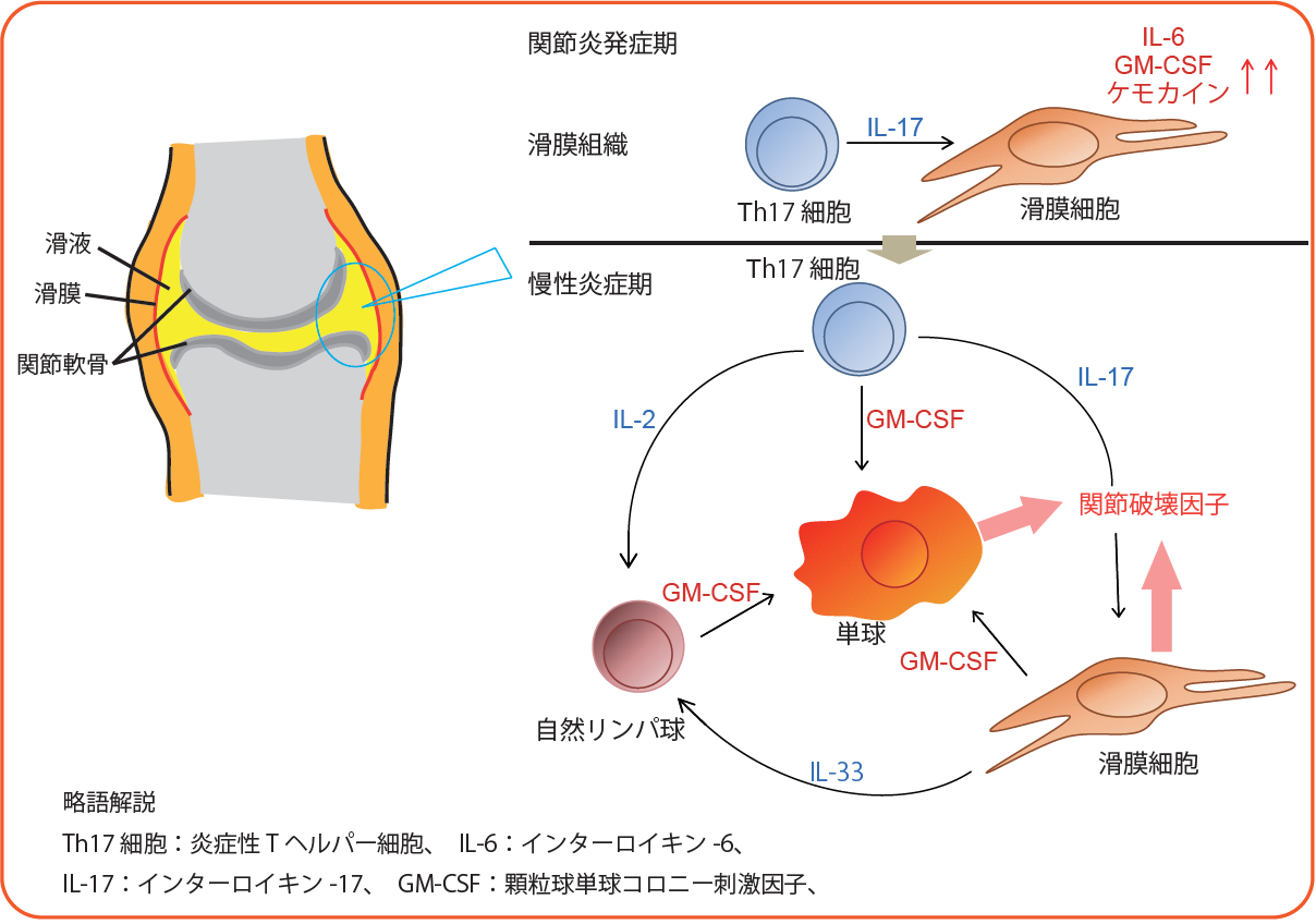 Figure1