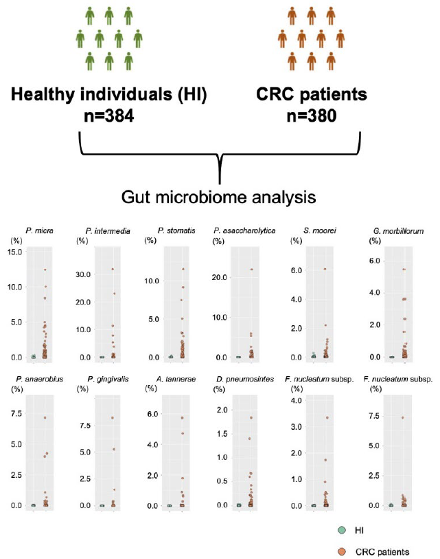 Gut microbiome analysis