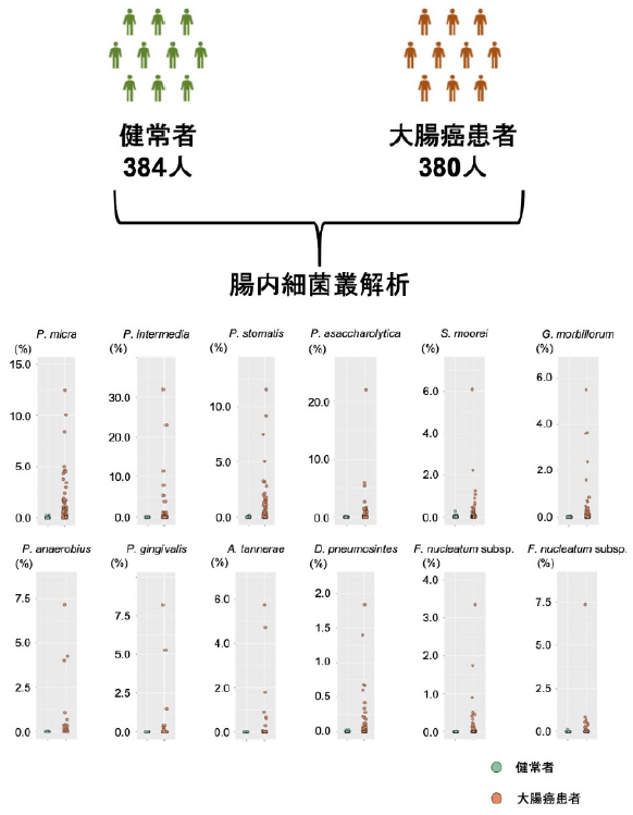 大腸癌患者と健常者の腸内細菌叢の大規模比較解析