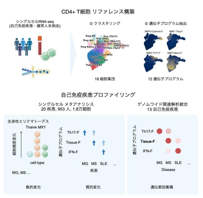 Figure Cell Gen_Ohkura-Sakaguchi