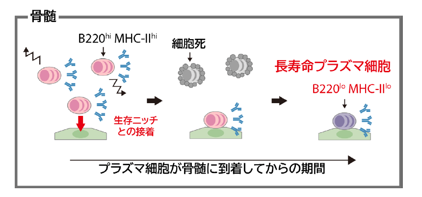 figure1