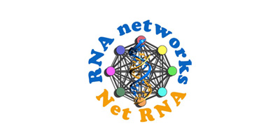NetRNA
